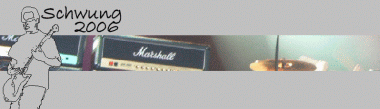 schwung logo